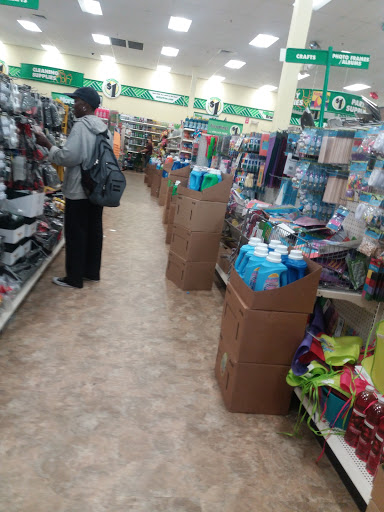 Dollar Store «Dollar Tree», reviews and photos, 495 Flatbush Ave, Hartford, CT 06106, USA