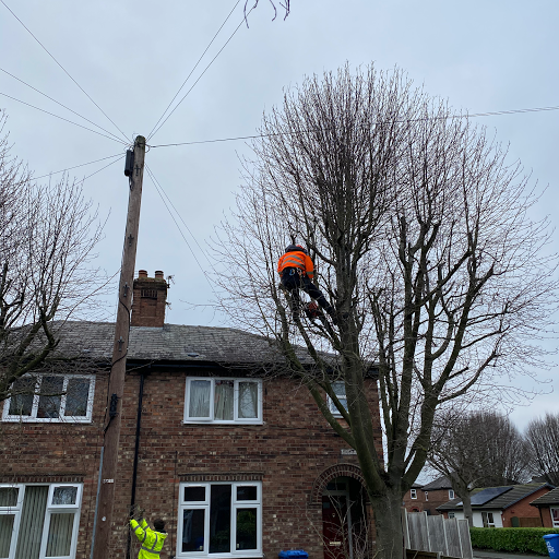 LJM Tree Care Limited