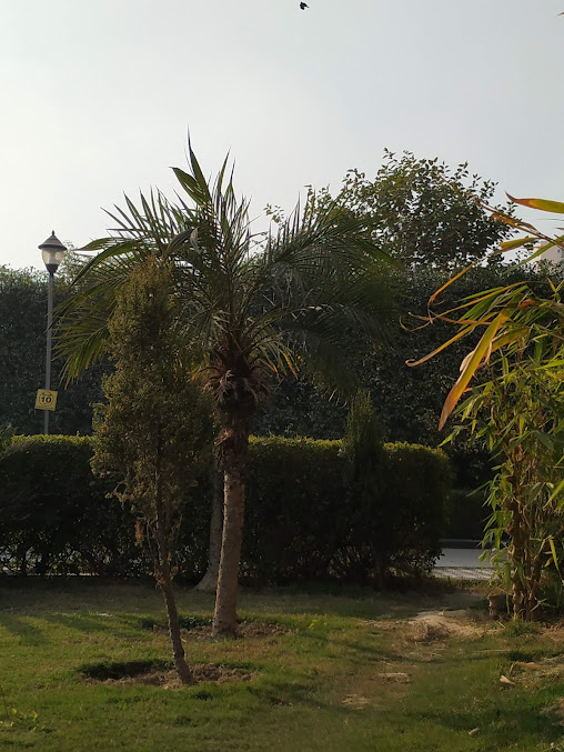 Google Maps image 27