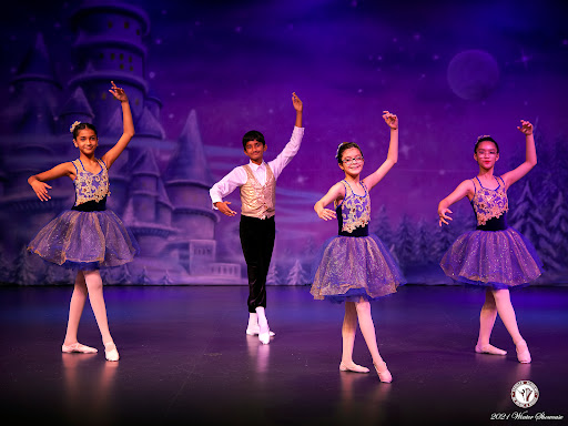 Music School «Veksler Academy of Music & Dance», reviews and photos, 176 E Fremont Ave, Sunnyvale, CA 94087, USA