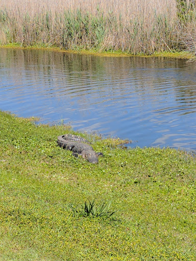 Golf Shop «De Bordieu Colony Golf Course», reviews and photos, 908 Bonny Neck Dr, Georgetown, SC 29440, USA