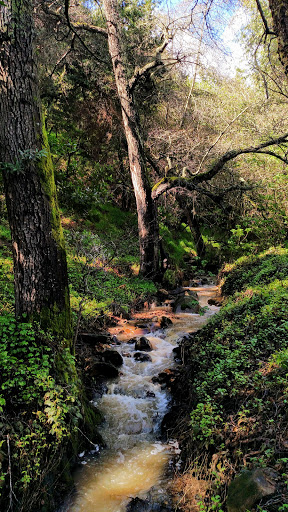 Nature Preserve «Leona Canyon Regional Open Space Preserve», reviews and photos, Leona Trail, Oakland, CA 94605, USA