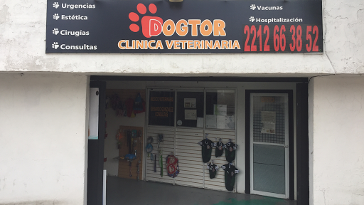 Clinica Veterinaria Dogtor
