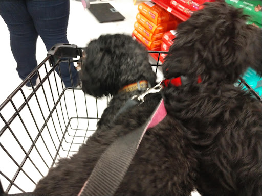 Pet Supply Store «Petco Animal Supplies», reviews and photos, 6280 S Westnedge Ave, Portage, MI 49002, USA