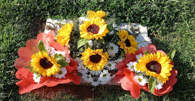 M & R Importadores Y Distribuidores De Flores E Insumos De Floreria Li