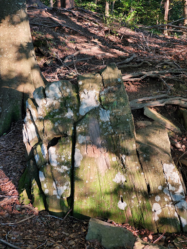 Park «Government Island», reviews and photos, 191 Coal Landing Road, Stafford, VA 22554, USA