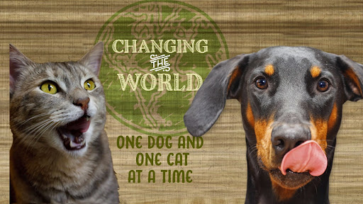 Pet Supply Store «All The Best Pet Care», reviews and photos, 6820 Bothell Way NE, Kenmore, WA 98028, USA