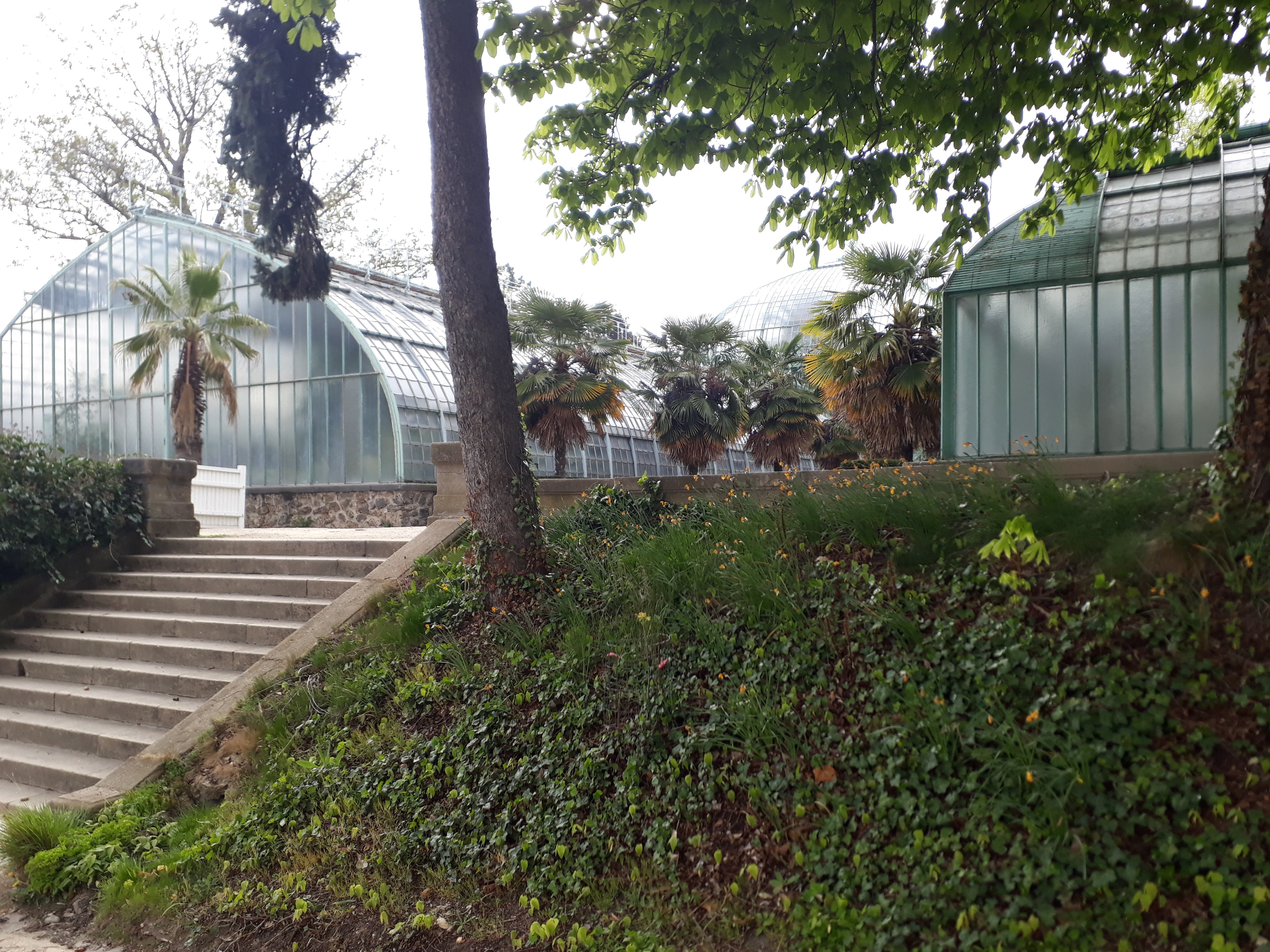 Photo n° 9 de l'avis de Julien.a fait le 12/04/2019 à 17:32