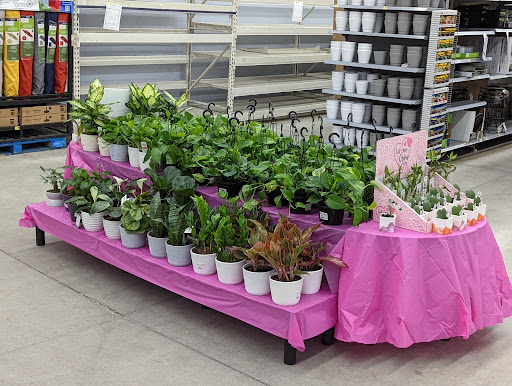 Department Store «Walmart Supercenter», reviews and photos, 33 Sherwood Dr, Tilton, NH 03276, USA