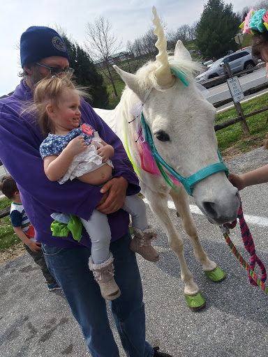 Hardware Store «Brandywine Ace Pet & Farm», reviews and photos, 1150 Pocopson Rd, West Chester, PA 19382, USA