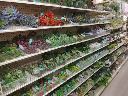 Craft Store «Hobby Lobby», reviews and photos, 620 SW Wilshire Blvd, Burleson, TX 76028, USA