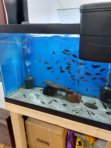 Tropical Fish Store «Tropi-Quatics Pet Center», reviews and photos, 337 S Main St, Lombard, IL 60148, USA