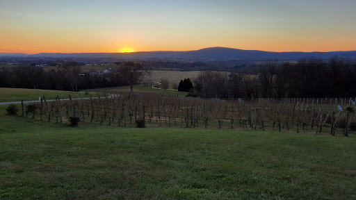 Winery «Mazzaroth Vineyard», reviews and photos, 8333 Myersville Rd, Middletown, MD 21769, USA