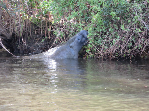 Boat Tour Agency «River Lilly Cruises», reviews and photos, 500 E Prima Vista Blvd, Port St Lucie, FL 34983, USA