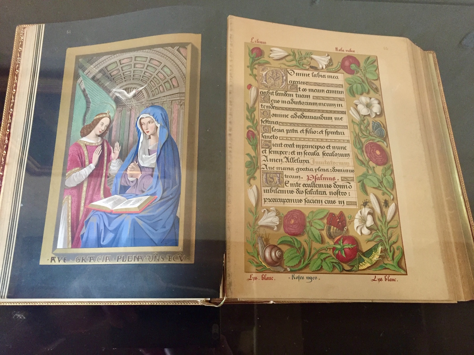 Photo n° 8 de l'avis de Paul.� fait le 03/05/2020 à 15:22