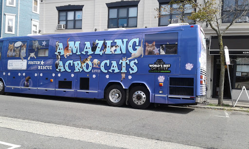 Live Music Venue «Regent Theatre», reviews and photos, 7 Medford St, Arlington, MA 02474, USA