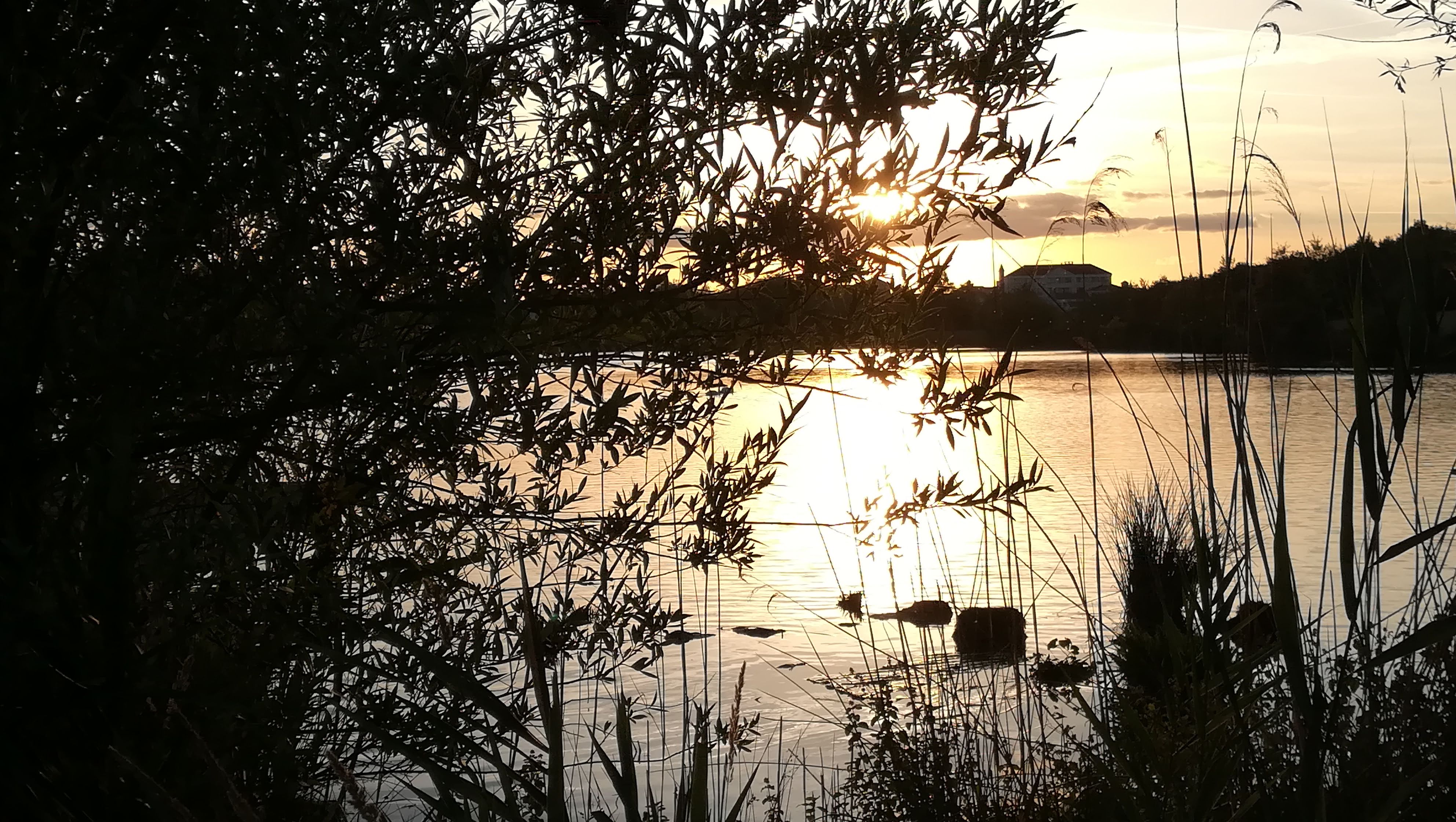 Photo n° 3 de l'avis de psman. fait le 23/09/2019 à 07:05