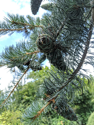 Tourist Attraction «NatureScaping Wildlife Botanical Gardens», reviews and photos, 11000 NE 149th St, Brush Prairie, WA 98606, USA