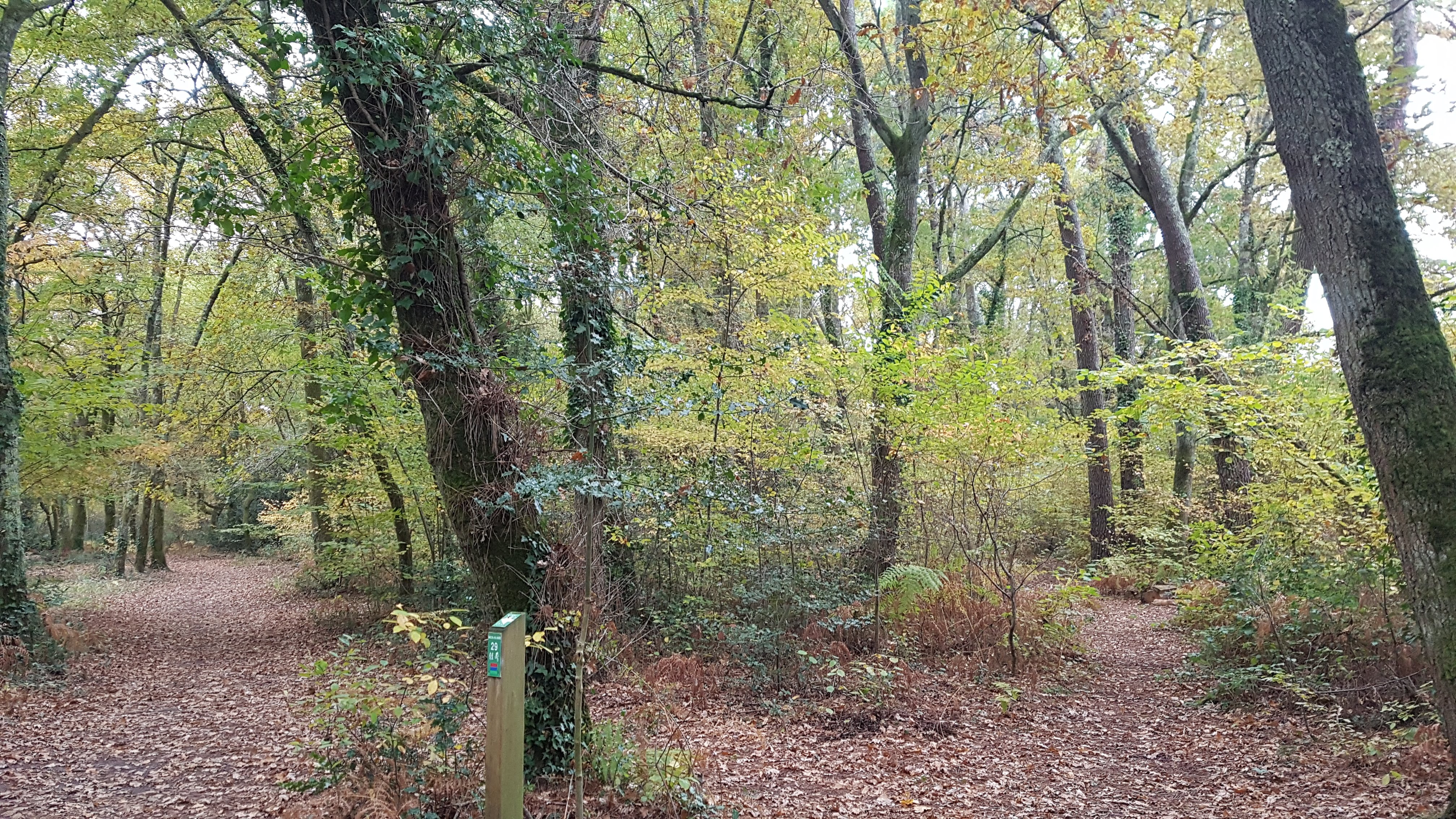 Photo n° 5 de l'avis de Joanna.A fait le 29/12/2021 à 13:09