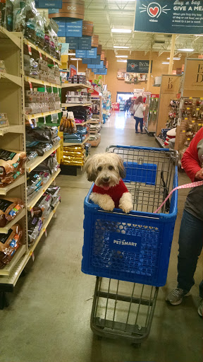 Pet Supply Store «PetSmart», reviews and photos, 2929 James Sanders Blvd f, Paducah, KY 42001, USA