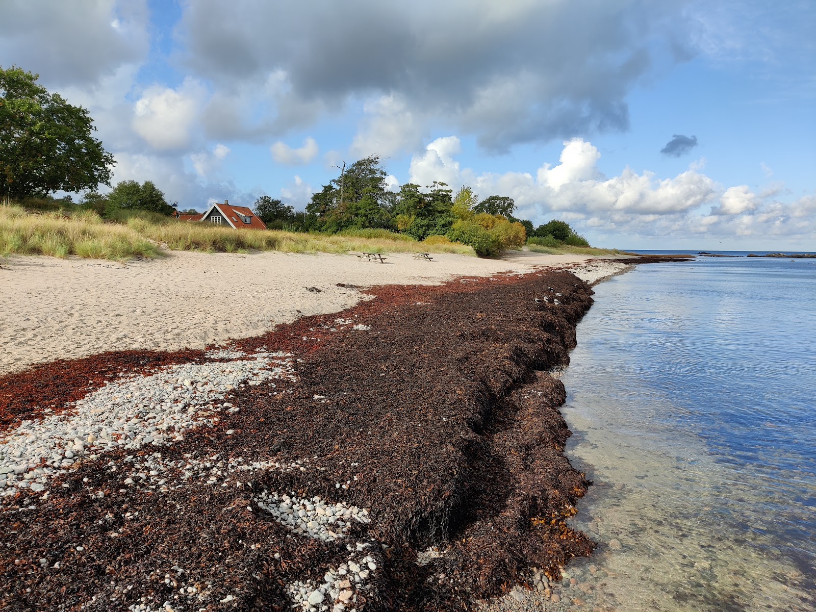 Photo of Melsted Beach wild area