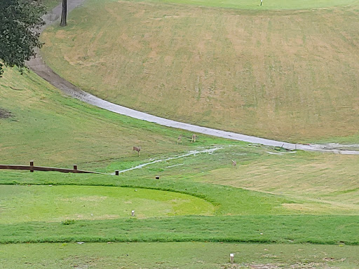 Golf Club «Five Oaks Golf & Country Club», reviews and photos, 621 5 Oaks Blvd, Lebanon, TN 37087, USA