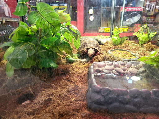 Pet Supply Store «Petco Animal Supplies», reviews and photos, 1500 N Town E Blvd, Mesquite, TX 75150, USA