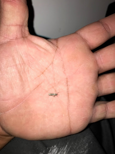 Ikill Pest Control Inc image