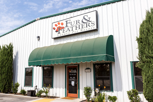 Fur & Feathers Pet Resort