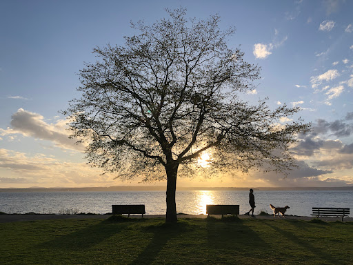 Park «Golden Gardens Park», reviews and photos, 8498 Seaview Pl NW, Seattle, WA 98117, USA