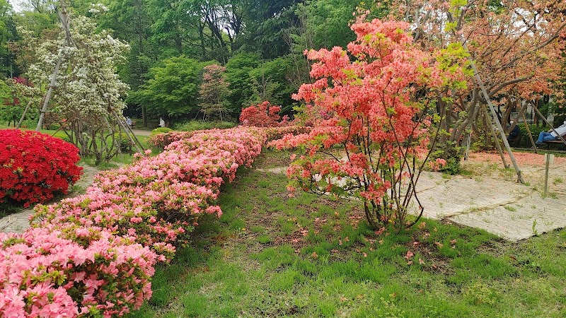 石神井松の風文化公園 花と木立ちの広場