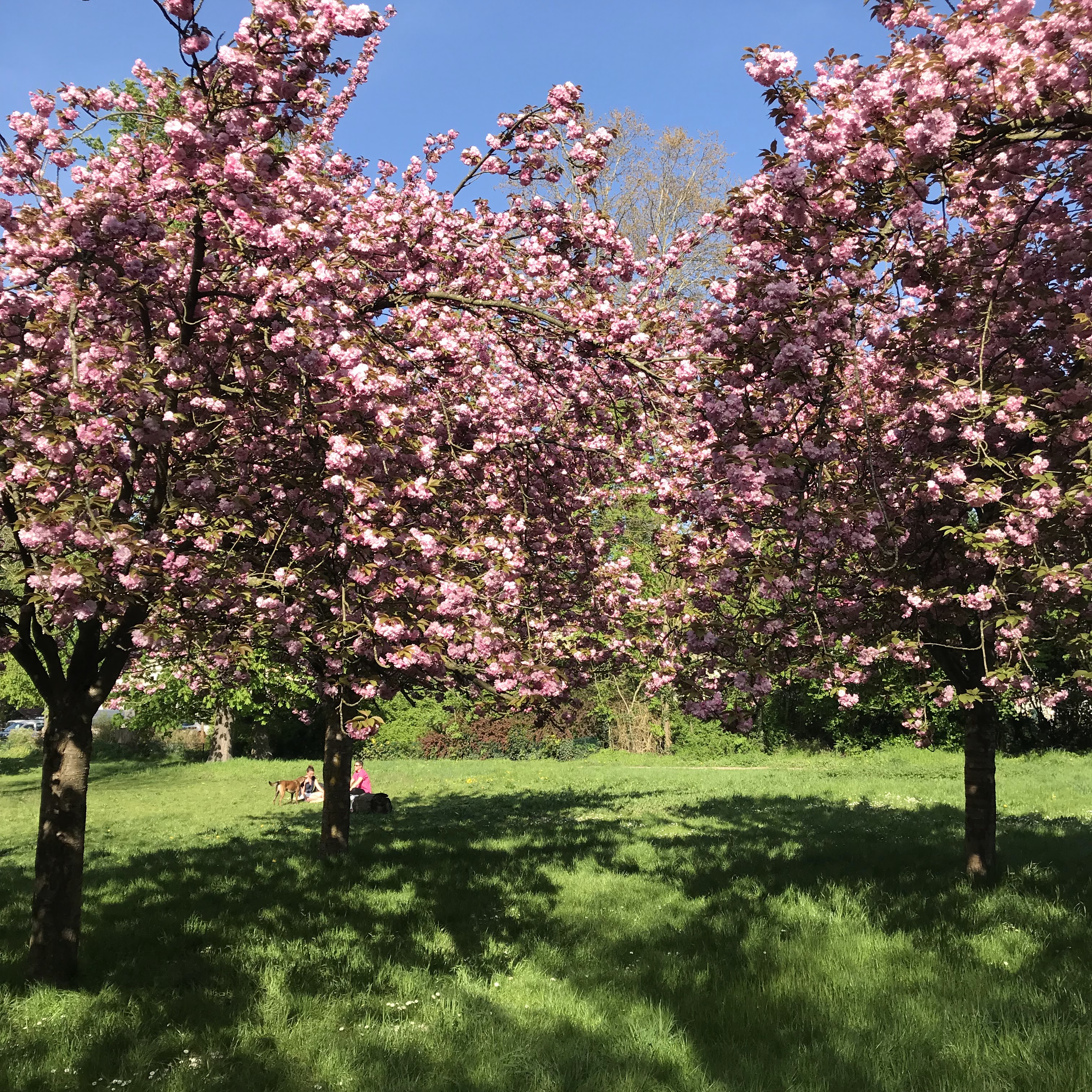 Photo n° 3 de l'avis de Franck.a fait le 02/05/2018 à 05:52