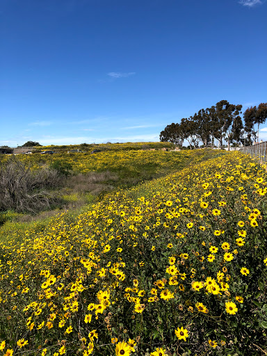 Nature Preserve «Peter and Mary Muth Interpretive Center», reviews and photos, 2301 University Dr, Newport Beach, CA 92660, USA