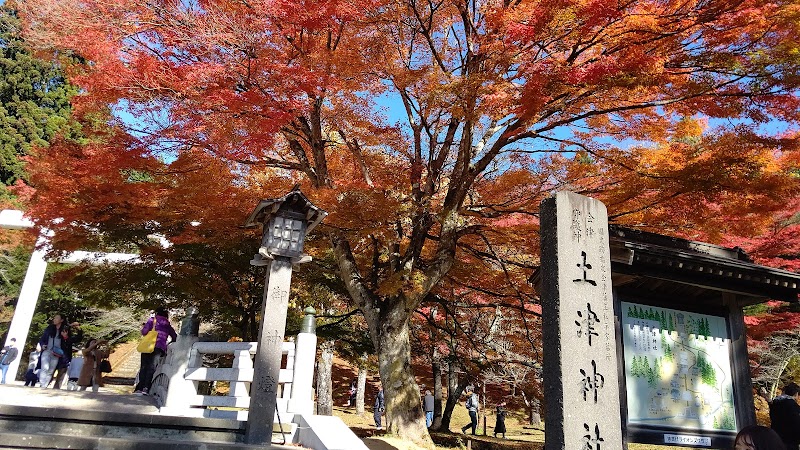 土津神社 記念樹(クロマツ)