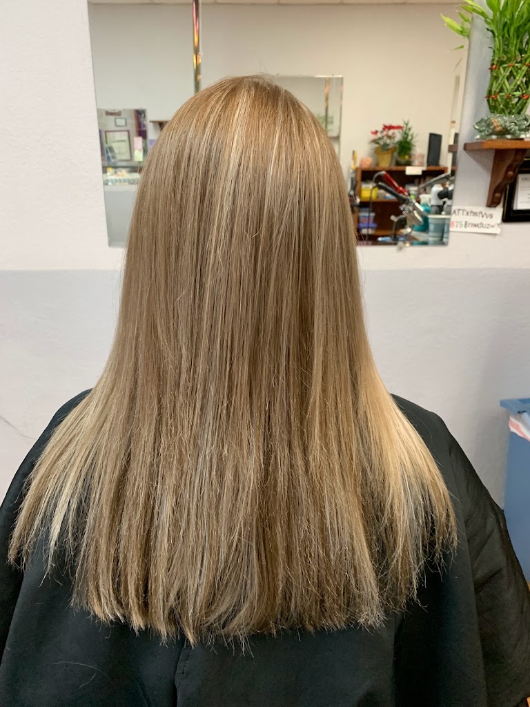 Hairousel 95123