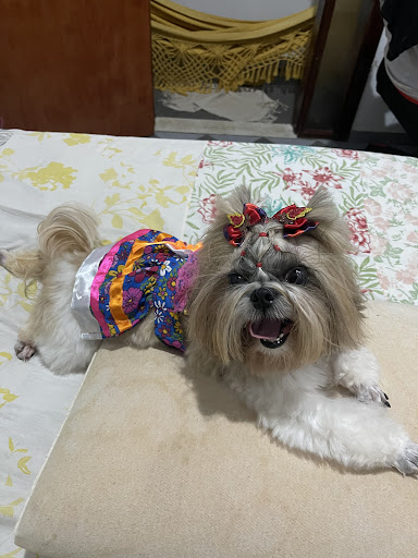 Logo da empresa - TOTAL PET