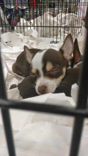 Pet Supply Store «Our Pet World», reviews and photos, 380 Semoran Commerce Pl, Apopka, FL 32703, USA