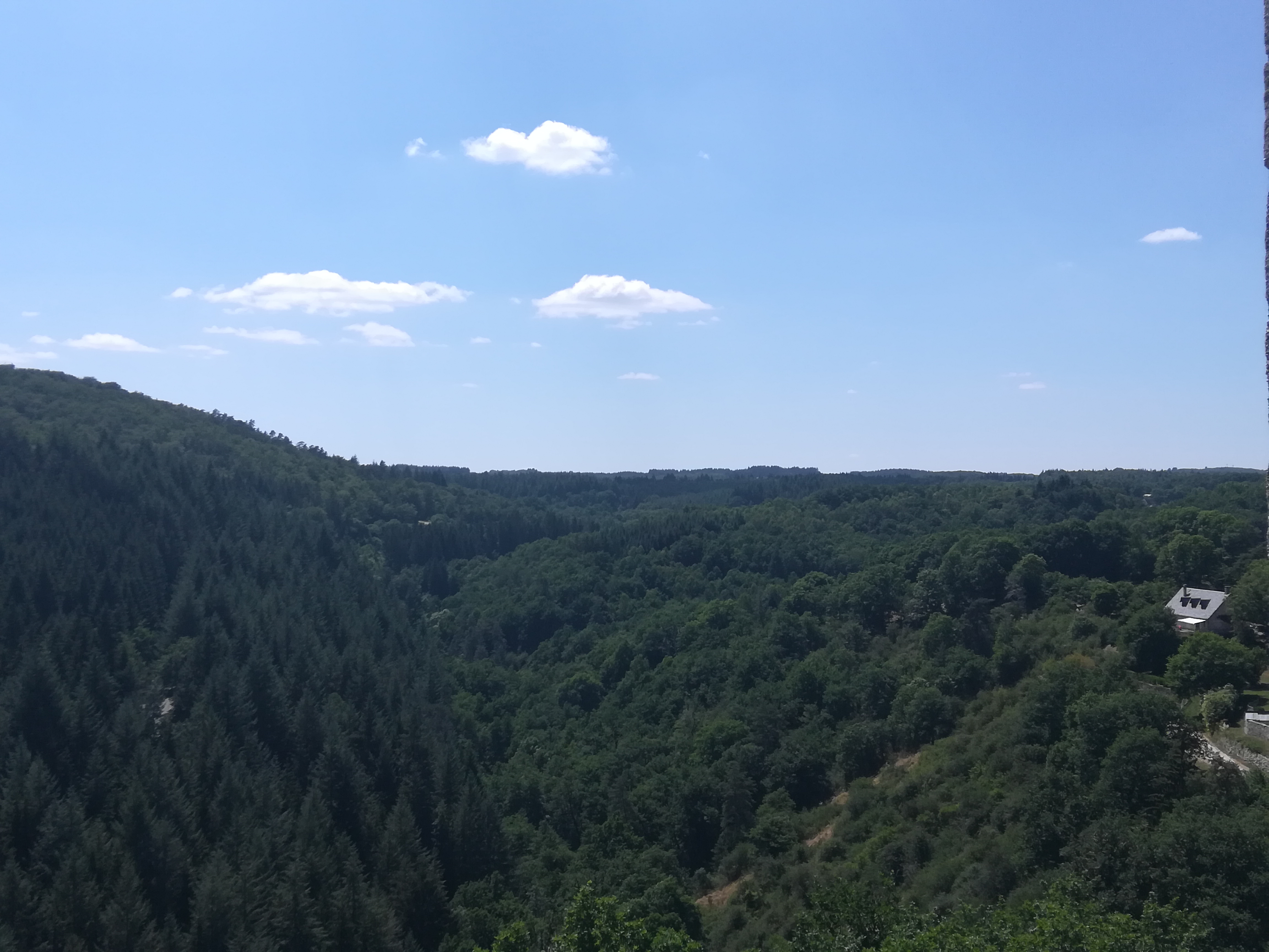 Photo n° 3 de l'avis de AngeBleu.f fait le 27/07/2019 à 13:09