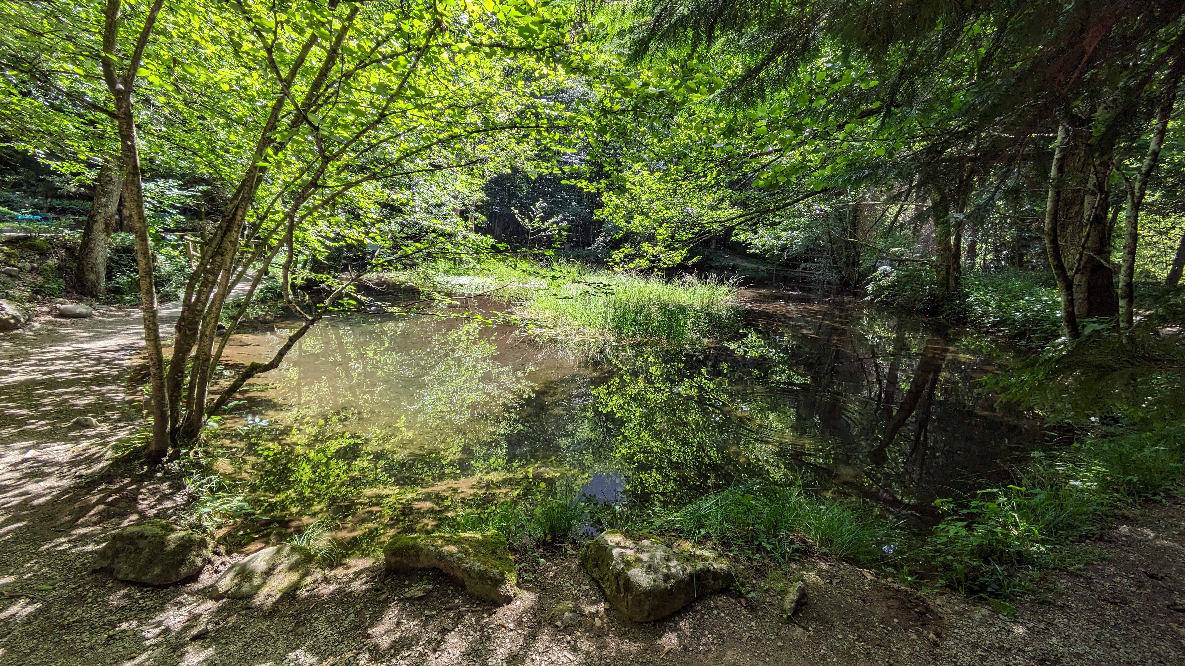 Photo n° 19 de l'avis de Dada.e fait le 15/08/2023 à 12:32
