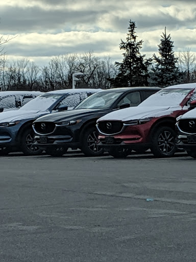 Car Dealer «Northtown Automotive Companies», reviews and photos, 1135 Millersport Hwy, Buffalo, NY 14226, USA