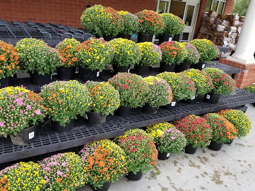 Grocery Store «Super Stop & Shop», reviews and photos, 80 Birdsall Rd, Baldwin Place, NY 10505, USA