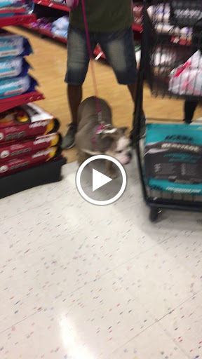 Pet Supply Store «Petco Animal Supplies», reviews and photos, 4616 Millenia Plaza Way, Orlando, FL 32839, USA