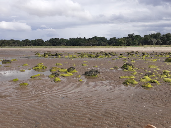 Seton Sands Beach