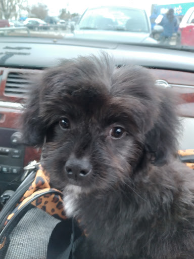 Pet Supply Store «PetSmart», reviews and photos, 3670 Von Schilling Dr, Hampton, VA 23666, USA