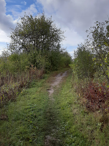 Day Care Center «Alphabet Junction Child Care», reviews and photos, 1335 10th Ave E, Shakopee, MN 55379, USA