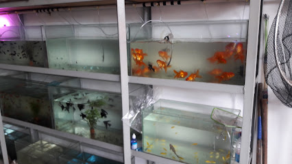 Toko Ciracas Aquarium