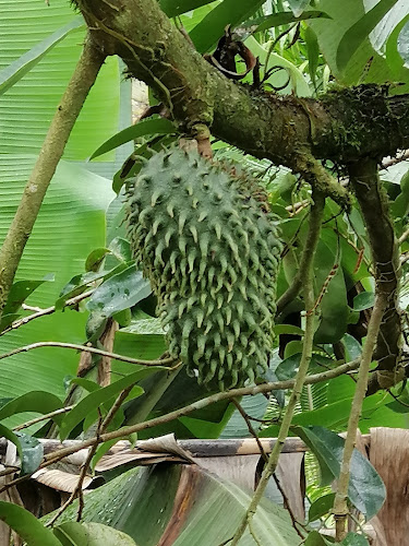 Vía a San Lorenzo, Ecuador