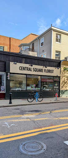 Florist «Central Square Florist», reviews and photos, 653 Massachusetts Ave, Cambridge, MA 02139, USA
