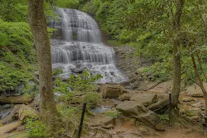 Pearson's Falls and Glen image