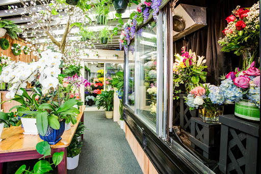 Florist «Blossom Flower Shops», reviews and photos, 275 Mamaroneck Ave, White Plains, NY 10605, USA
